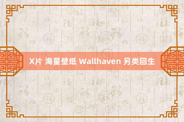 X片 海量壁纸 Wallhaven 另类回生