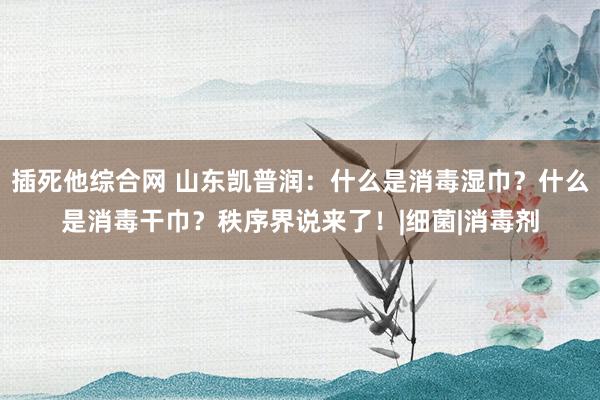 插死他综合网 山东凯普润：什么是消毒湿巾？什么是消毒干巾？秩序界说来了！|细菌|消毒剂