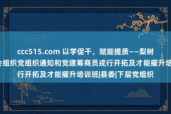 ccc515.com 以学促干，赋能提质——梨树县举办非公企业和社会组织党组织通知和党建筹商员戎行开拓及才能擢升培训班|县委|下层党组织