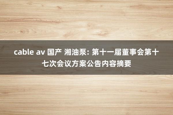 cable av 国产 湘油泵: 第十一届董事会第十七次会议方案公告内容摘要