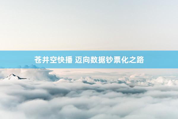 苍井空快播 迈向数据钞票化之路