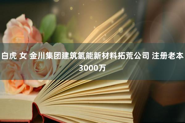 白虎 女 金川集团建筑氢能新材料拓荒公司 注册老本3000万