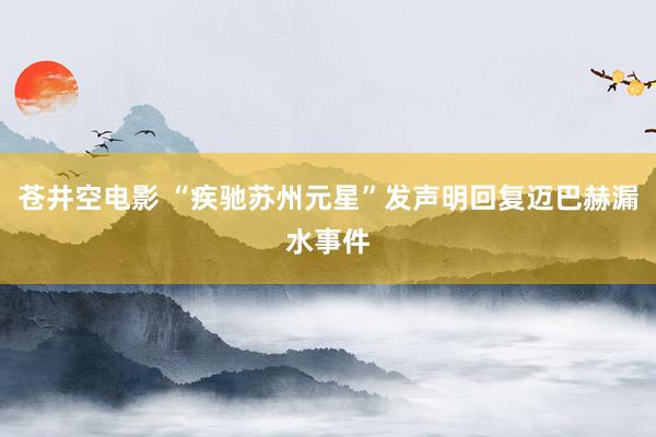 苍井空电影 “疾驰苏州元星”发声明回复迈巴赫漏水事件