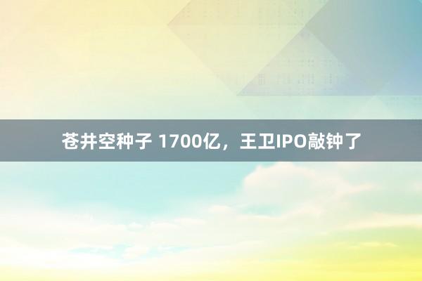 苍井空种子 1700亿，王卫IPO敲钟了